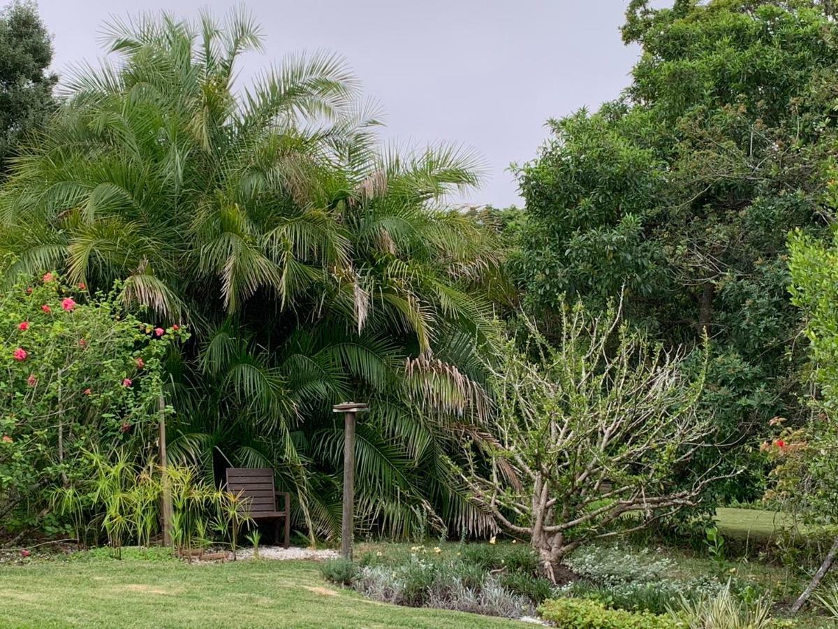 Garden Cottage In Ambiente Guest House Knysna Eksteriør bilde